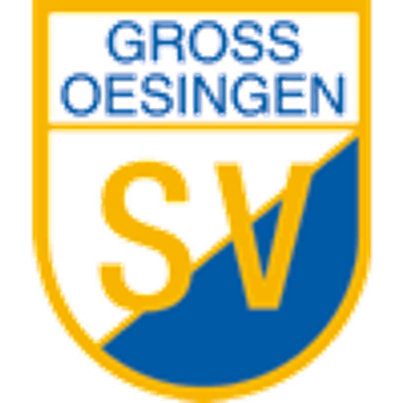 SV Gro Oesingen (Gifhorn): Alle Spiele, Ergebnisse & Liveticker - FuPa
