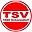 TSV 1880 Schwandorf Futsal
