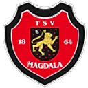 Team Logo