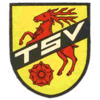 TSV Kümmersbruck