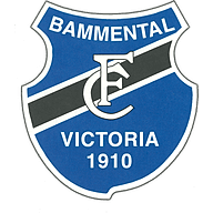SpG Bammental III