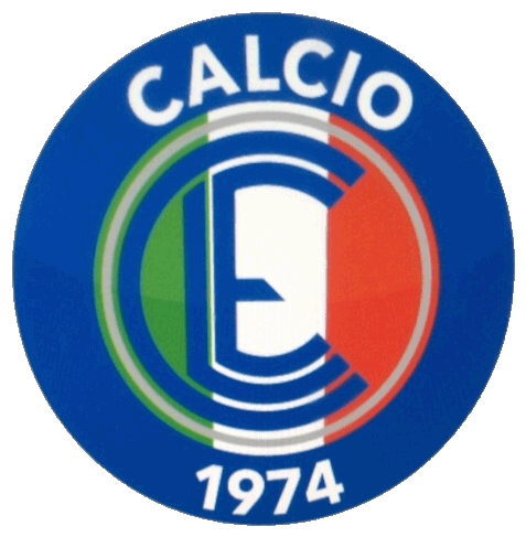 Calcio Leinfelden-Echterdingen