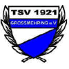 TSV 1921 Großmehring