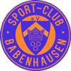 SC Babenhausen 1967