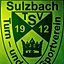 Daniel  Maier (1. Vorsitzender) - TSV Sulzbach