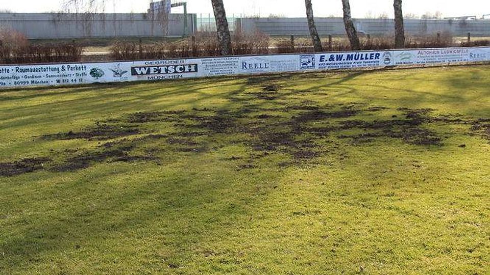 Ein Maulwurf hat das Spielfeld des TSV Allach heim