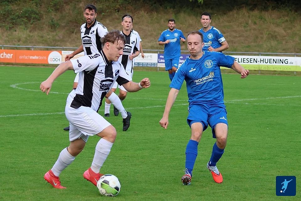 Rindern unter Flutlicht. Rindern unter Flutlicht.