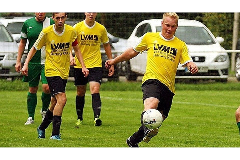 Archivbild F: Specht