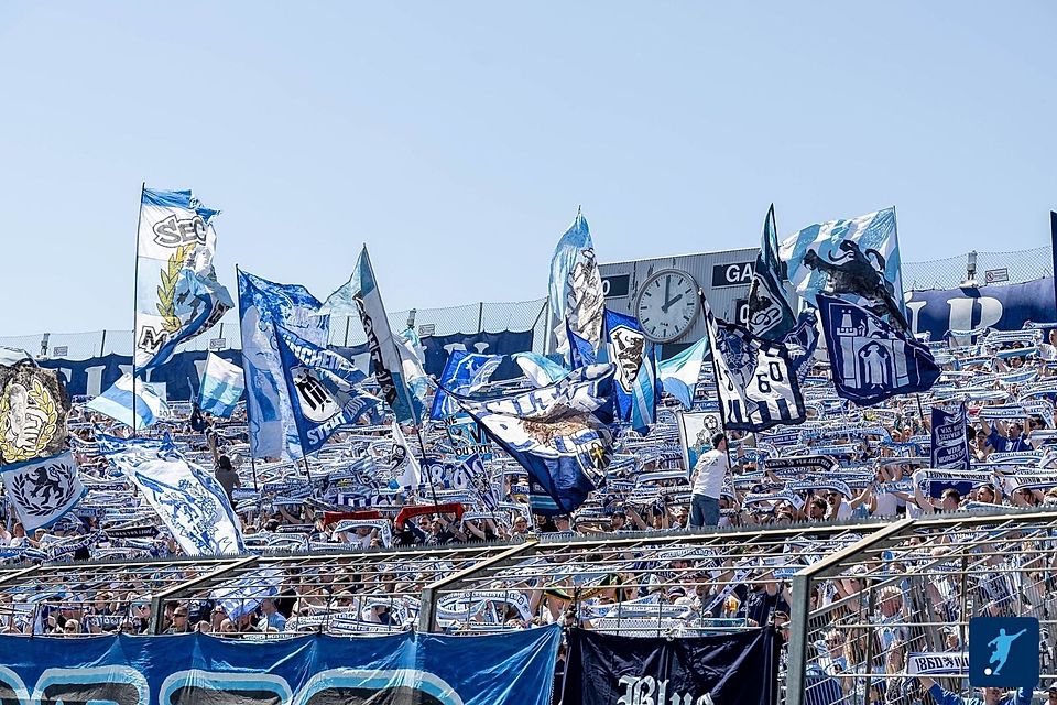 Auf die Unterstützung seiner Anhänger kann sich der TSV 1860 weiter verlassen.
