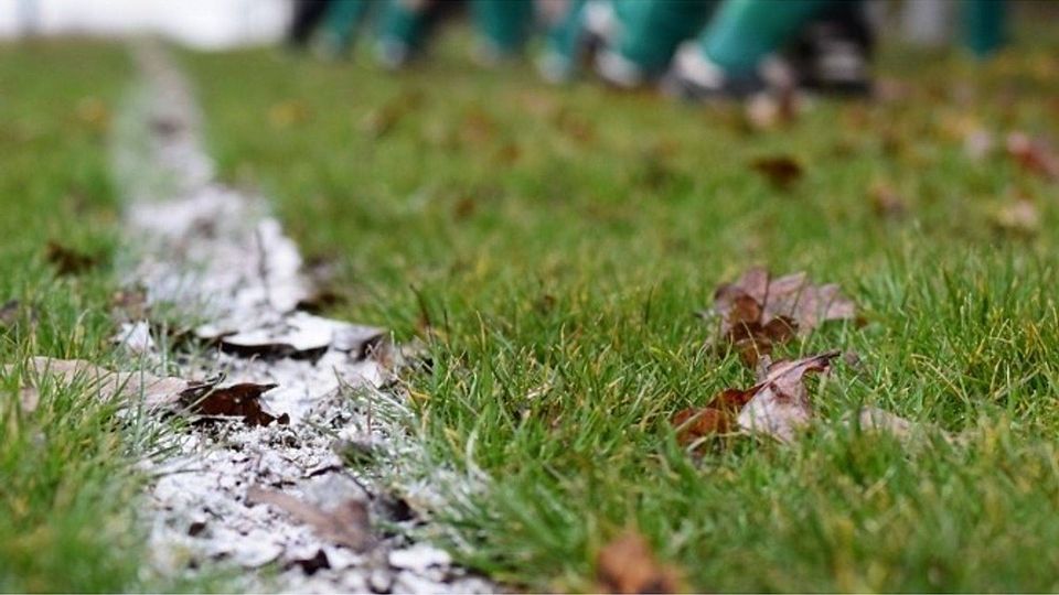 F: Nückel/Steinmann