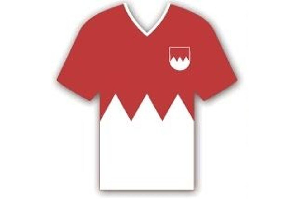 So könnte es aussehen, das Trikot der fränkischen Fußball-Nationalmannschaft.  Bild: Nordbayerischer Kurier