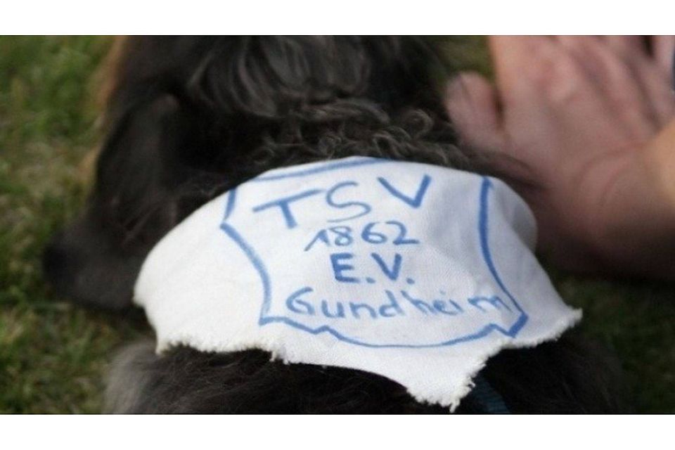 Der TSV Gundheim erleidet eine schwere Niederlage. Archivfoto: Dinger