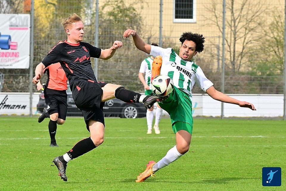 Können die Quecken die Adler vom Tabellenthron stürzen?