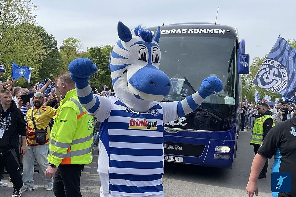 Der MSV Duisburg spielt um den Aufstieg in die 2. Bundesliga.