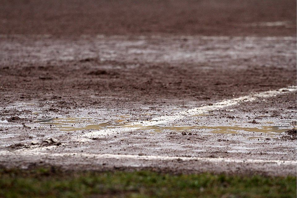 F: Thomas Rinke F: Thomas Rinke