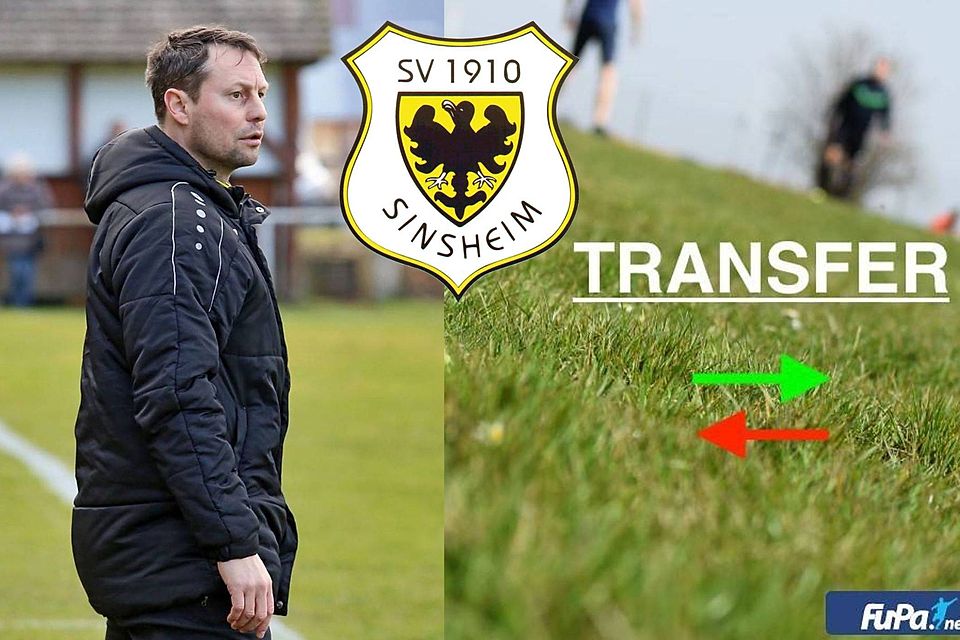 Mike Kronwald übernimmt ab sofort den SV Sinsheim.