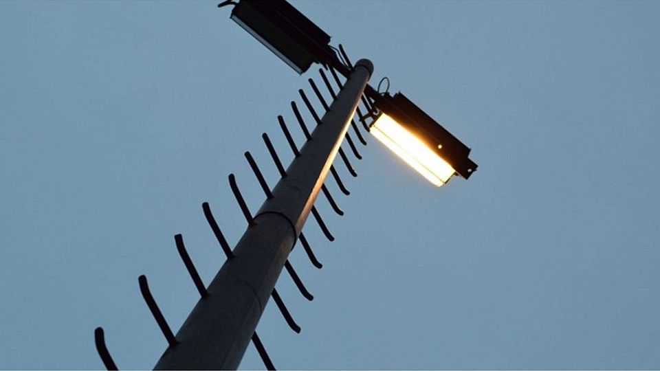 F: Nückel/Steinmann