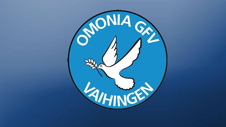 Die Neuzugänge bei Omonia Griechischer FV Vaihingen sind vielversprechend. Foto: FuPa-Collage