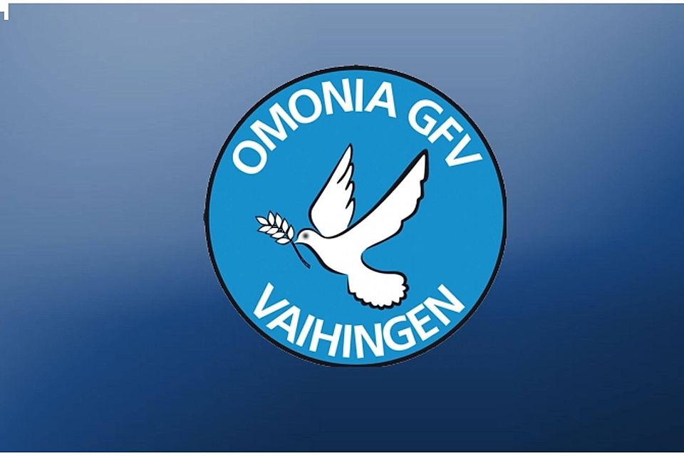 Die Neuzugänge bei Omonia Griechischer FV Vaihingen sind vielversprechend. Foto: FuPa-Collage