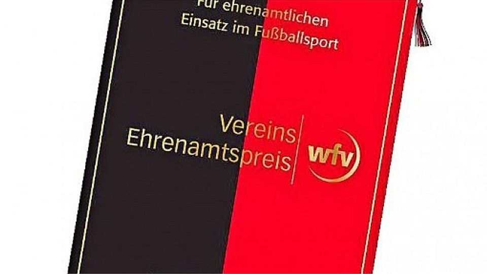 Das Objekt der Begierde: der Siegerwimpel zum WFV-Vereins­ehrenamtspreis. Foto: privat/z
