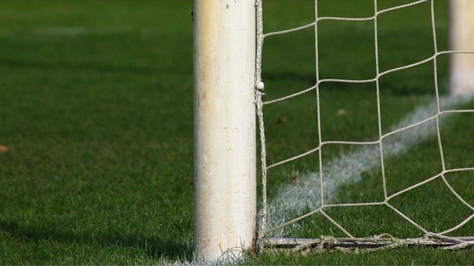 Zwei Neuzugänge aus dem Borgsdorfer Rasen. Symbolbild: Rabe