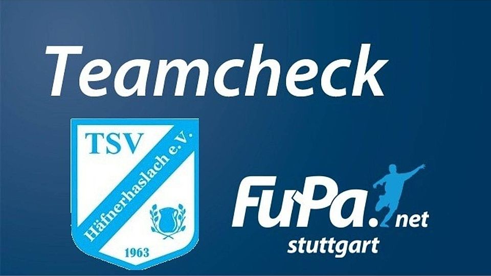 Heute im Teamcheck: der TSV Häfnerhaslach. Foto: FuPa Stuttgart