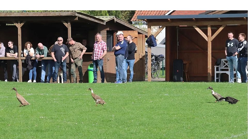 Bei einem wenig unterhaltsamen Spiel in Burweg sorgten zumindest Enten auf dem Spielfeld für einen kleinen Höhepunkt.