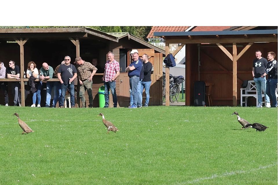 Bei einem wenig unterhaltsamen Spiel in Burweg sorgten zumindest Enten auf dem Spielfeld für einen kleinen Höhepunkt.