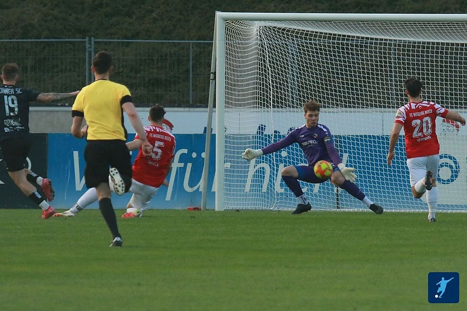 Strauch in Aktion