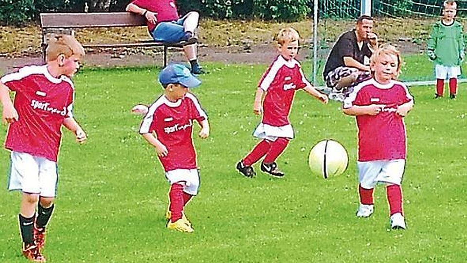 Auch die Jüngsten zeigten am Wochenende in Eckfleth, dass sie gut mit dem Ball umgehen können Wolfgang Grave