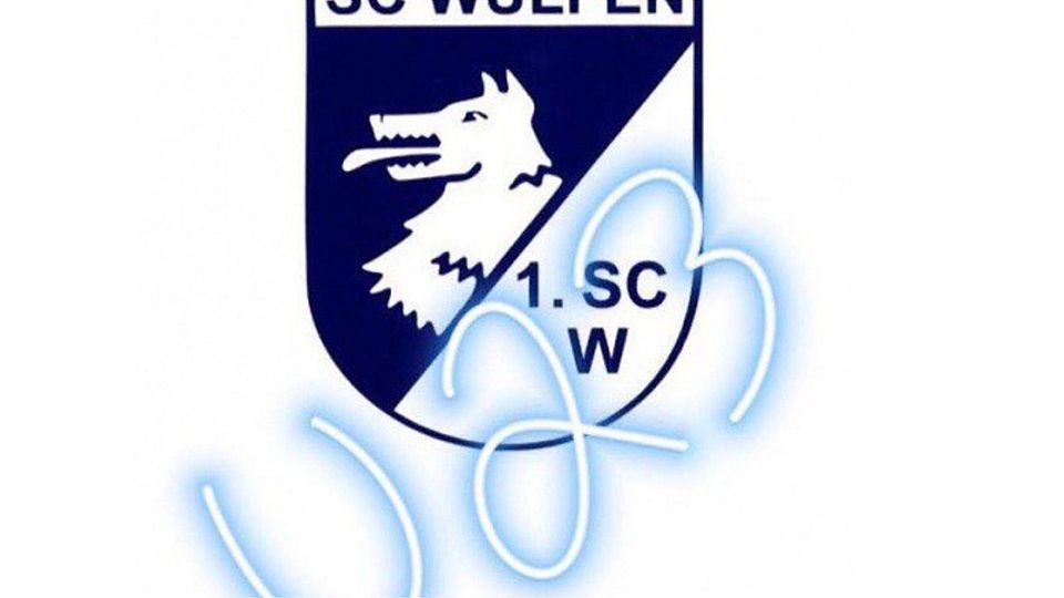 Projekt soll umgesetzt werden: die U23 des 1.SC Wulfen.