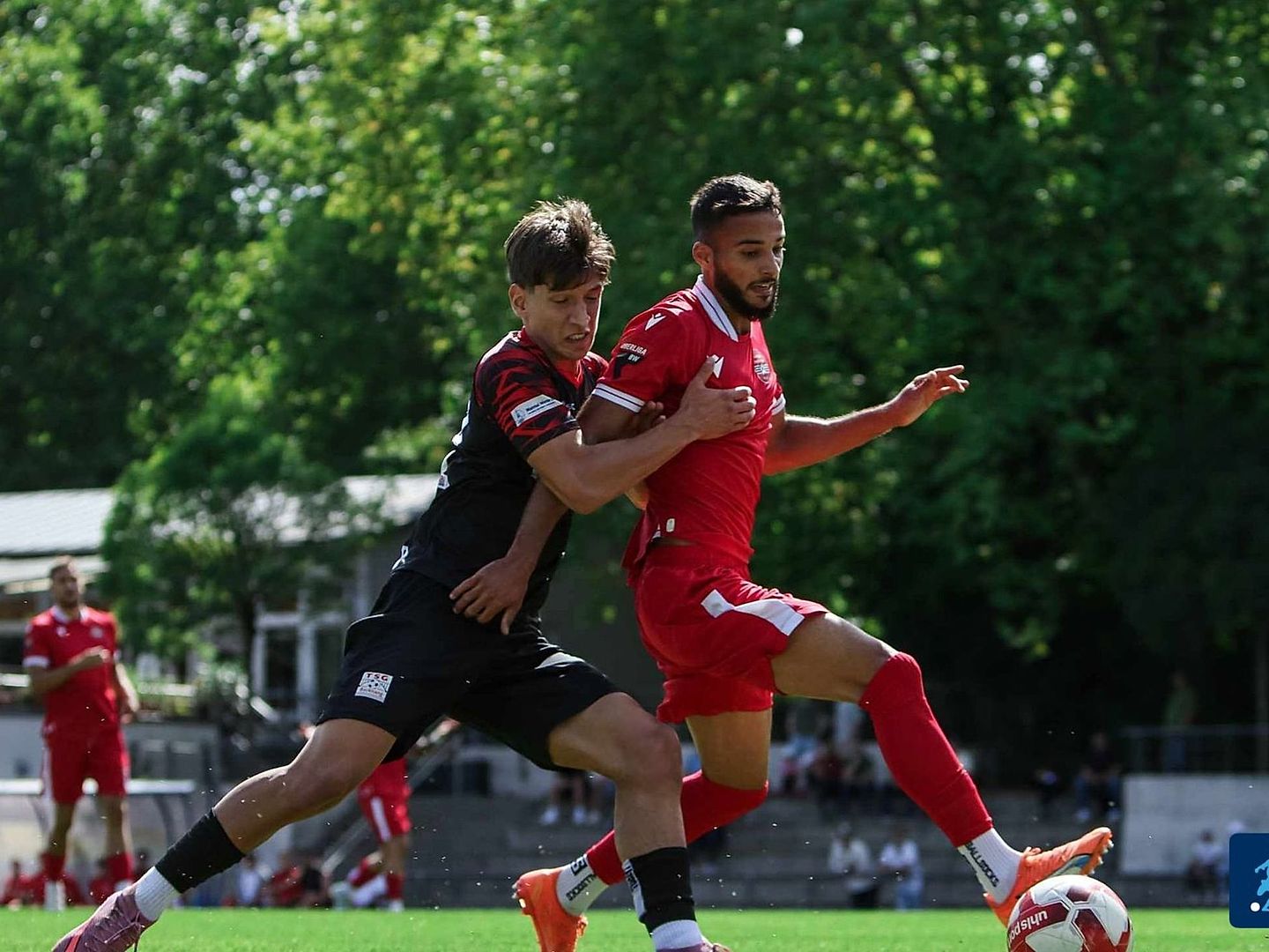 Türkspor Neckarsulm: 