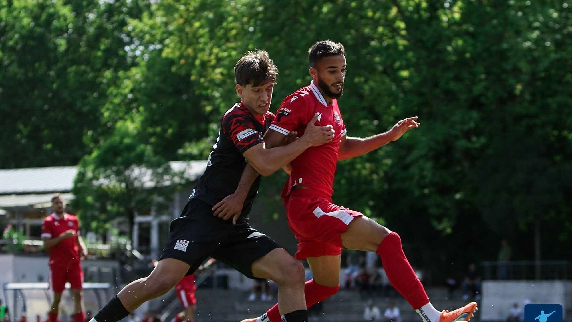 ♡希少♡ TÜRKSPOR NECKARSUL Neckarsulmer Türkspor Neckarsulm: 