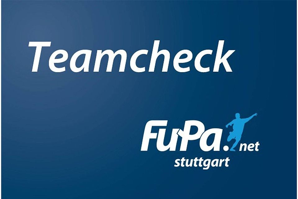 Der FuPa-Teamcheck zur neuen Saison. Heute: Spvgg 07 Ludwigsburg. F: Turian