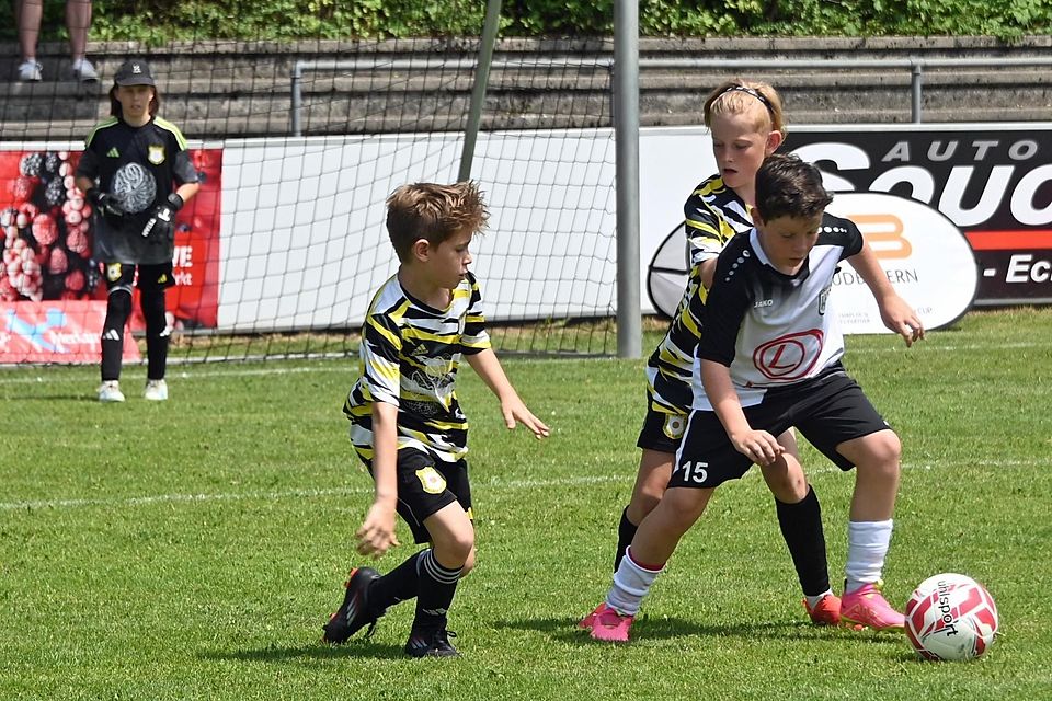 Halbfinale verpasst: Die Echinger Nachwuchskicker (schwarzweiß) mussten mit dem Spiel um Platz fünf vorliebnehmen und unterlagen dabei dem TSV Geiselbullach mit 1:3. Halbfinale verpasst: Die Echinger Nachwuchskicker (schwarzweiß) mussten mit dem Spiel um Platz fünf vorliebnehmen und unterlagen dabei dem TSV Geiselbullach mit 1:3.