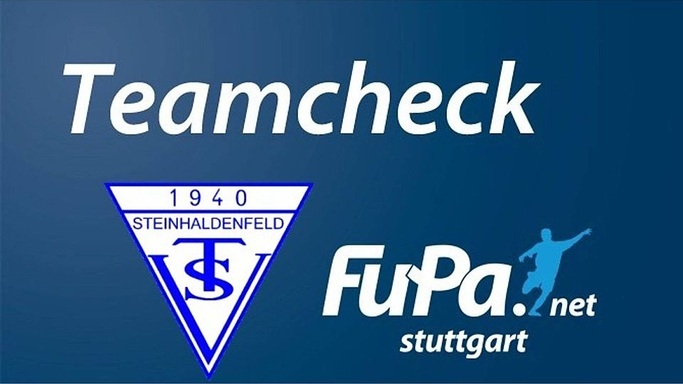 Der TSV Steinhaldenfeld II im Teamcheck. Foto: FuPa Stuttgart
