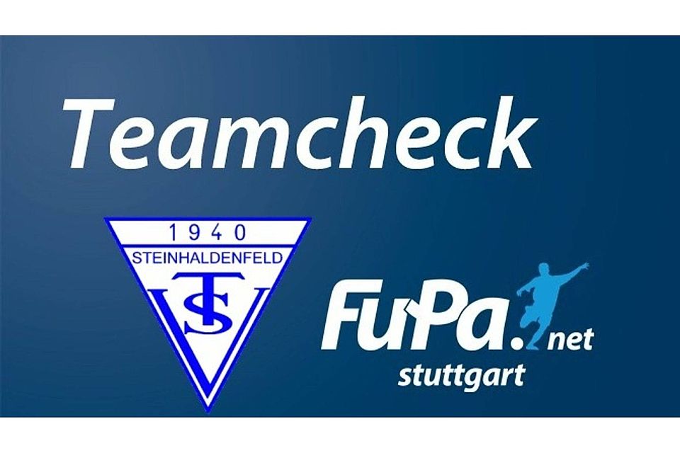 Der TSV Steinhaldenfeld II im Teamcheck. Foto: FuPa Stuttgart