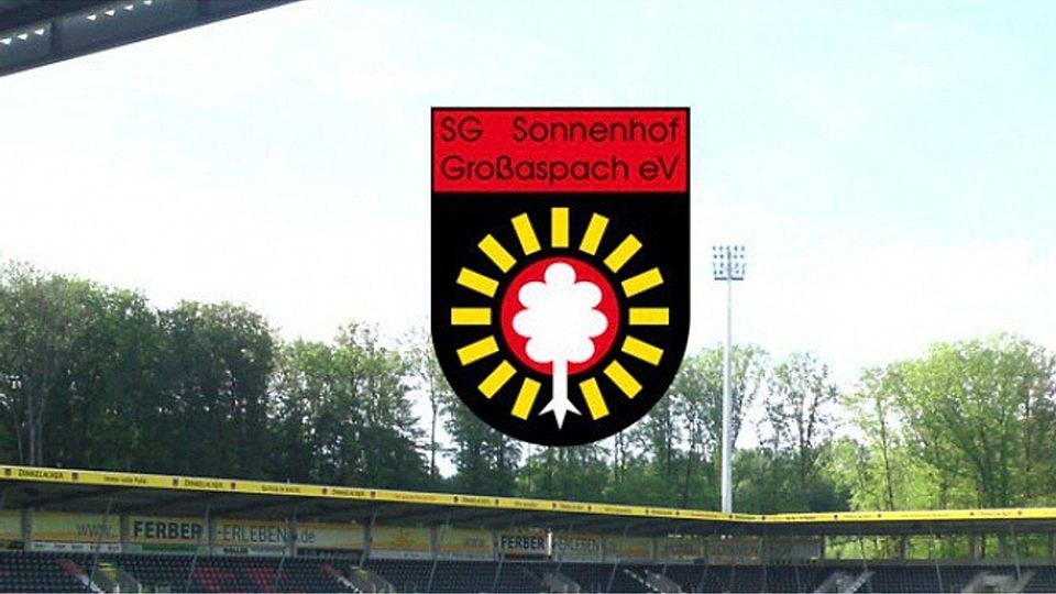 Das Drittliga-Heimspiel der SG Sonnenhof Großaspach gegen den Chemnitzer FC findet morgen statt. F: Turian