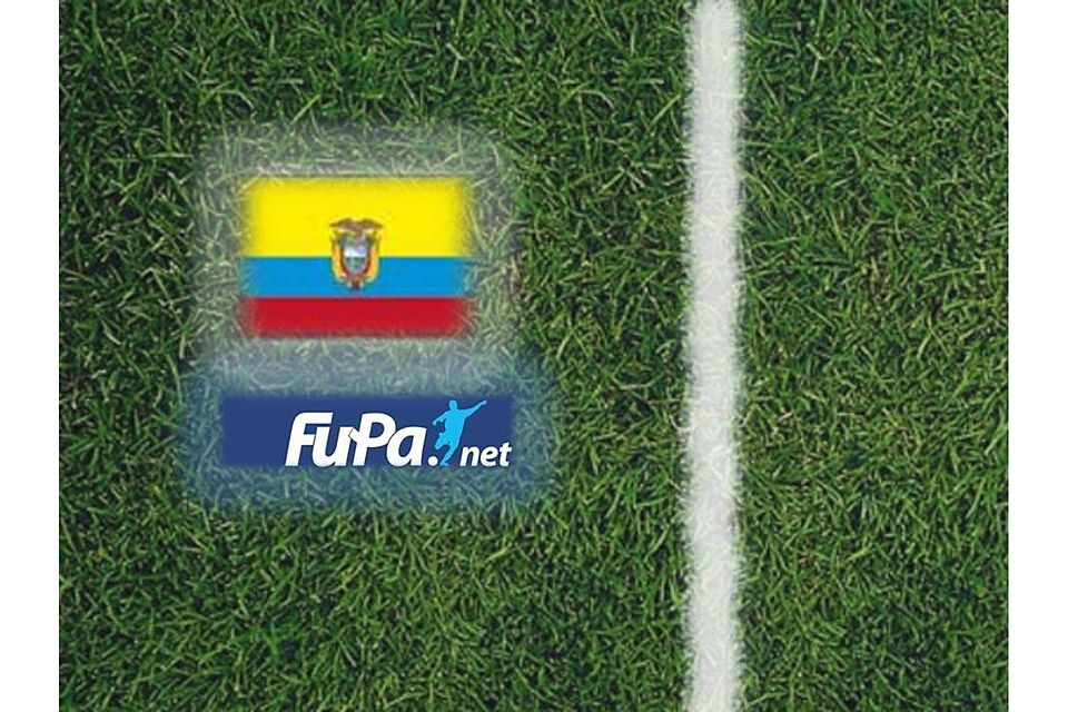 Die ecuadorianischen Hoffnungen bei der WM belaufen sich vor allem auf Antonio Valencia von Manchester United. Allerdings spielte der Außenspieler in der Premier League keine große Rolle.