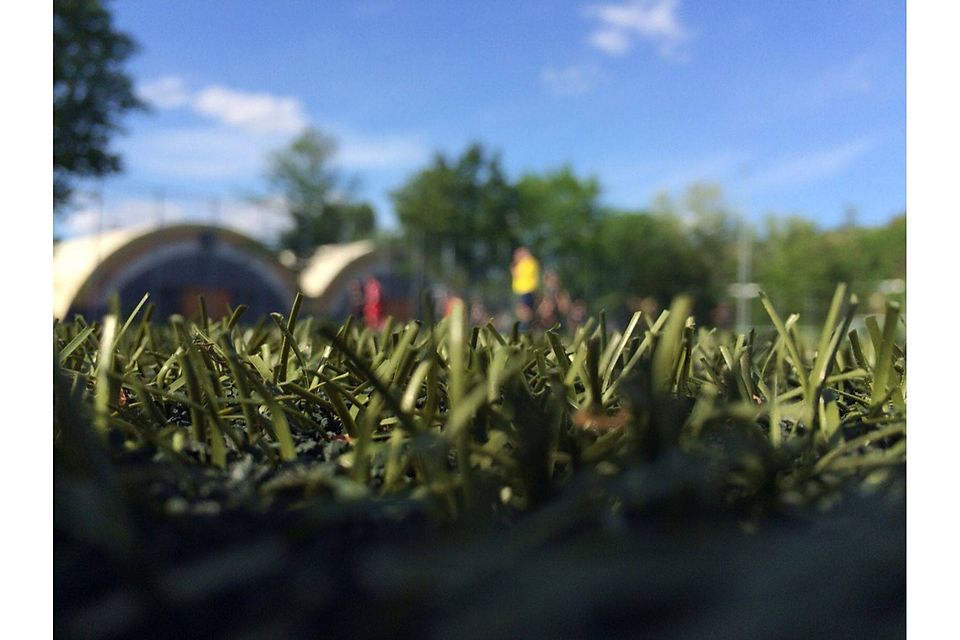 Foto: Pötter Foto: Pötter