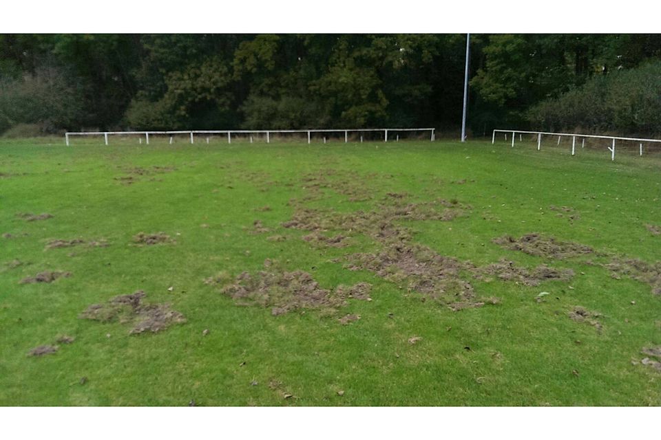 Die Wildschweine haben den Platz umgegraben. Foto: FC Illerkirchberg