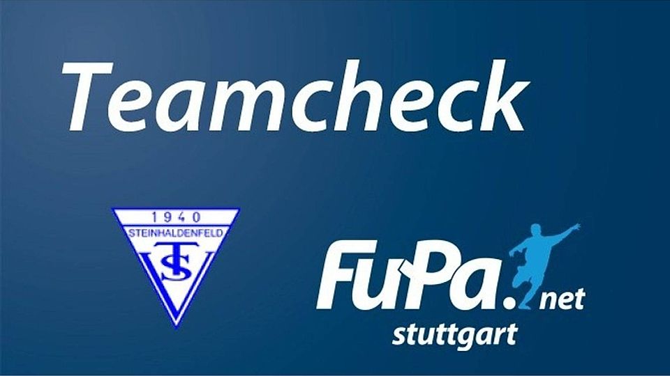 Heute im Teamcheck: TSV Steinhaldenfeld. Foto: FuPa Stuttgart