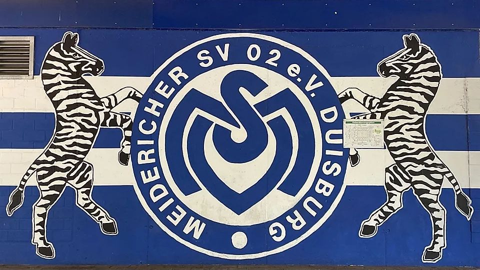 Alle MSV-News im Überblick.