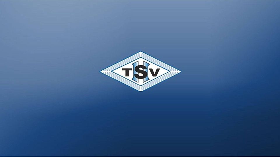Die SGM Heumaden/Sillenbuch/Eintracht feiert gegen die SG Leinfelden-Echterdingen einen 5:1-Heimerfolg. Foto: FuPa Stuttgart