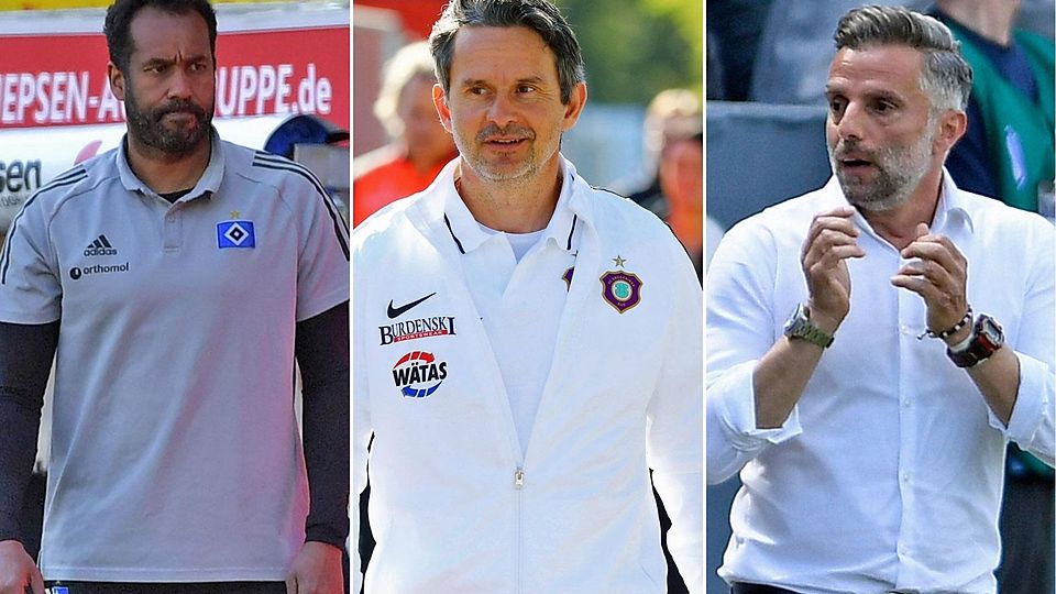 Wer wird der neue starke Mann bei Türkgücü München? Daniel Thioune, Dirk Schuster und Tomas Oral (v. re. n. li) werden beim Drittligisten gehandelt.