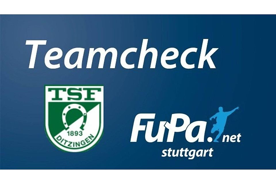 Heute im Teamcheck: der TSF Ditzingen. Foto: FuPa Stuttgart