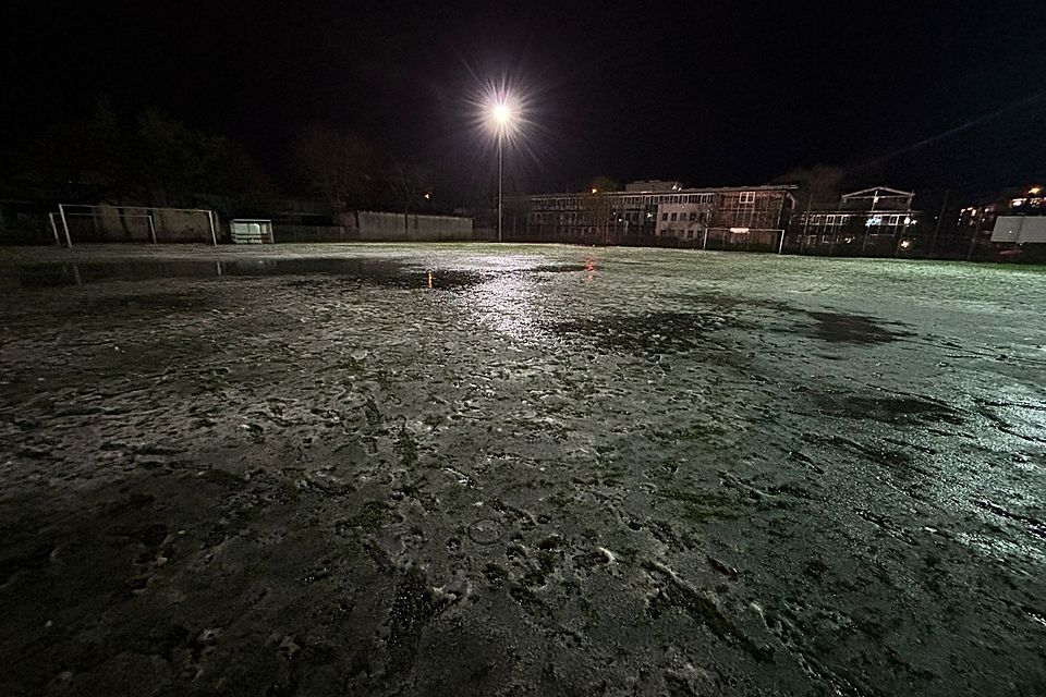 Ende November/Anfang Dezember in Neumarkt: Saftig? Ja! Grün? Nein!