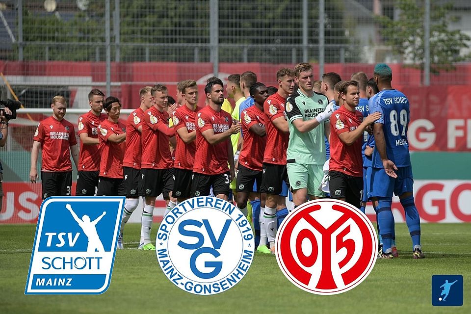 Der TSV Schott Mainz beim DFB-Pokal-Highlight gegen den Zweitligisten Hannover 96.