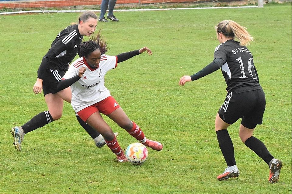 Gegen Wilting zeigte Fridos Tomangbe erneut ein starkes Spiel.