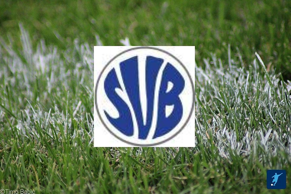 Die Teamhistorie des SV Bubsheim in der Übersicht. 